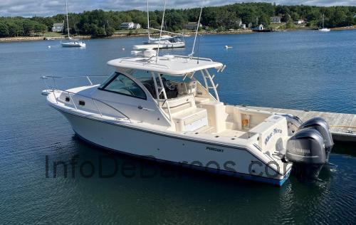 Pursuit 345 OS opinión y ficha técnica